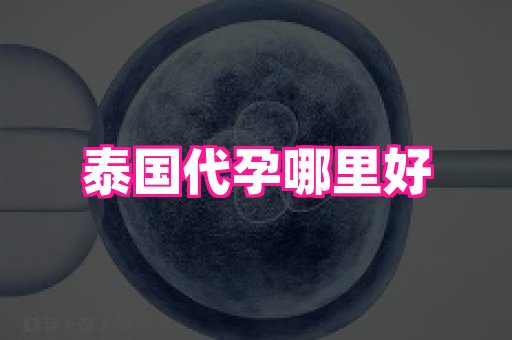 69助孕网 1
