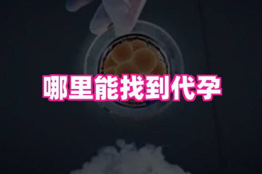 69助孕网 2